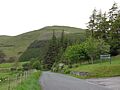 Graystones from Whinlatter Road