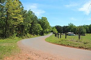 Hodges Mine Road, Bartow County, GA April 2019