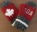 Hudson's Bay wool mittens