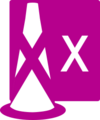 ICAA X