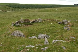 Iron age remains, Rough Tor - geograph.org.uk - 1096814