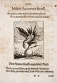 Johann-Vogel-Meditationes-emblematicae-de-restaurata-pace-Germaniae MGG 1034