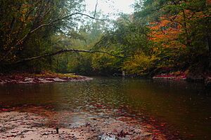 Kisatchie Bayou