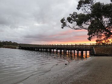 Lower King Bridge at sunset, April 2022 02.jpg