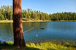Magone Lake (Grant County, Oregon scenic images) (graDA0011).jpg