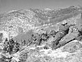 Marines engage during the Korean War