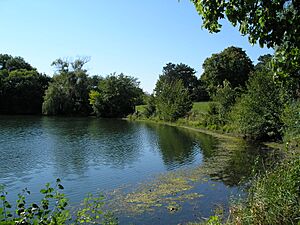 Mayslake Peabody Estate - Forest Preserve