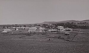 Mintaro 1880 cropped