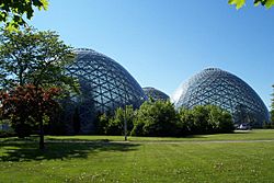 Mitchell Park Horticultural Conservatory.jpg