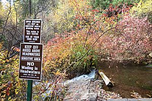 Mount Shasta Big Springs - Mount Shasta City Park - Mount Shasta City, California - DSC02768