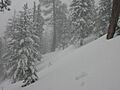 Mt. Waterman, California, USA March 5, 2000