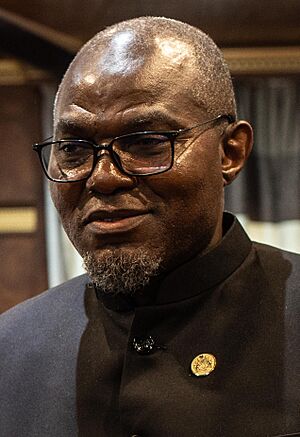 Muhammad B.S. Jallow - 2023 (cropped).jpg