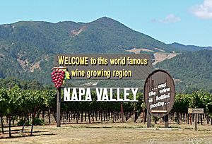 Napa Valley welcome sign.jpg