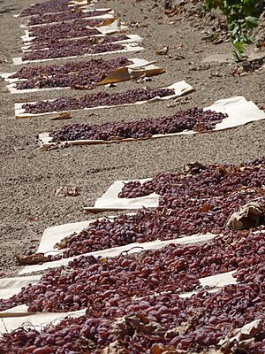 Nearly Dried Raisins