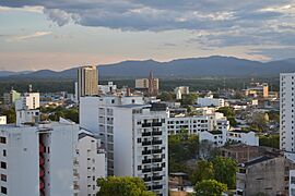 Neiva panoramica.jpg