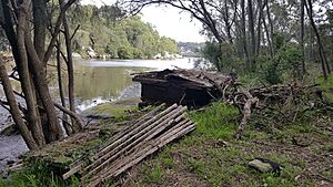Oatley NSW - Former oyster faming site at head of Jewfish Bay (April 2019)