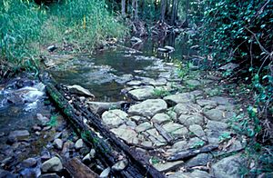 Old Byfield Road and Stone-Pitched Crossing (2003).jpg