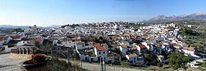 Panoramic colmenar