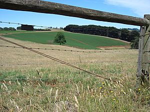 Potato field through fence - Thorpdale