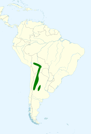 Psilopsiagon aymara map.svg