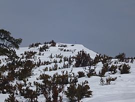 Raquetada Tossal del Rei (1350m) 058