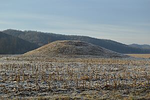 Ratcliffe Mound from north