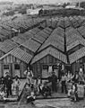 Row of shacks, 1906 earthquake in San Francisco