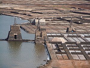 Salinas de Janubio - avril 2016 moulin de relevage