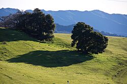 Santa Ynez, CA - panoramio (2)