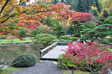 Seattle Japanese garden 2011 07