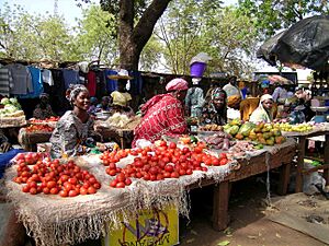 Sikasso marche tomat 2008