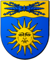 Coat of arms of Skellefteå