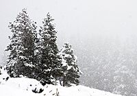 Snow falling at Tower (f6d906ff-4e12-4375-97d6-a21bedf95d8b)