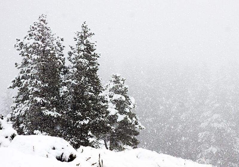 Snow falling at Tower (f6d906ff-4e12-4375-97d6-a21bedf95d8b)