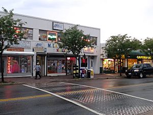 Storefronts along Mount Vernon Avenue Alexandria Virginia