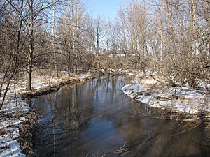 Sycamore Creek Lansing Michigan.jpg