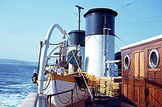 Sydney Ferry SOUTH STEYNE bridge deck ocean cruise 1967