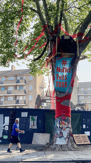 The Happy Man Tree, Hackney, London, England (August 2020)