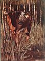 The fairy tales of the Brothers Grimm (1916) (14596023960)
