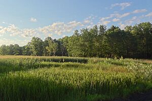 Troy Meadows, NJ - 01