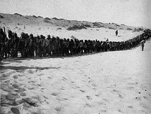Turkish prisoners on the road to El Arish from Rafa in 1917