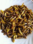 Ugandan grasshopper dish