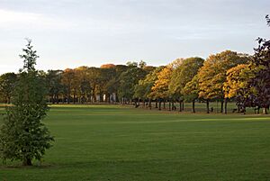 Victoria Park Leicester from Queens Road