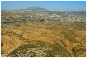 View of the Guadix Basin - journal.pone.0007127.g002