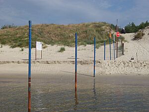 Vistula spit - Polish border