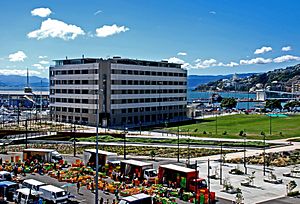Waitangi Park, Wellington, New Zealand, March 2007.jpg
