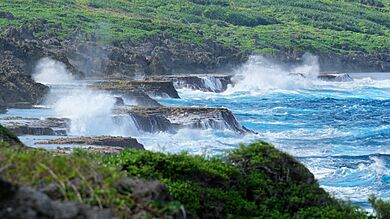 Waves crashing on reef edge at Tuhia-atua