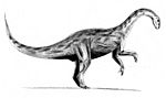 Yunnanosaurus BW