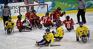 2010ParalympicsCanadaVsSwedenIceSledgeHockey
