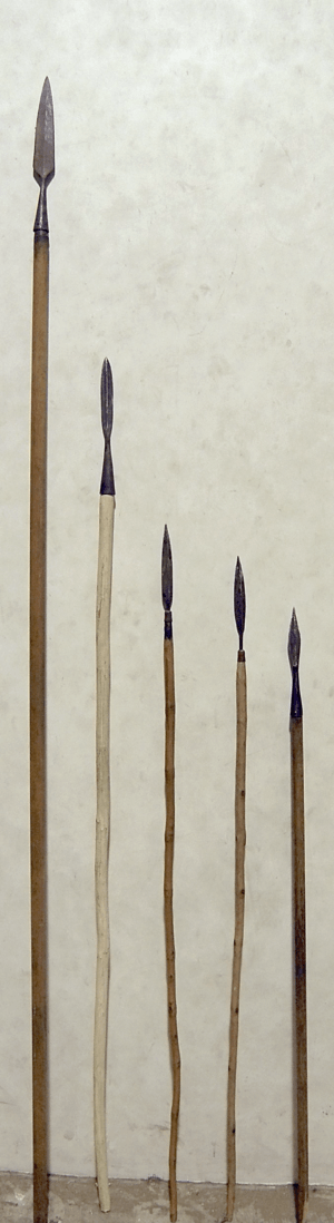 A spear and a series of javelins.